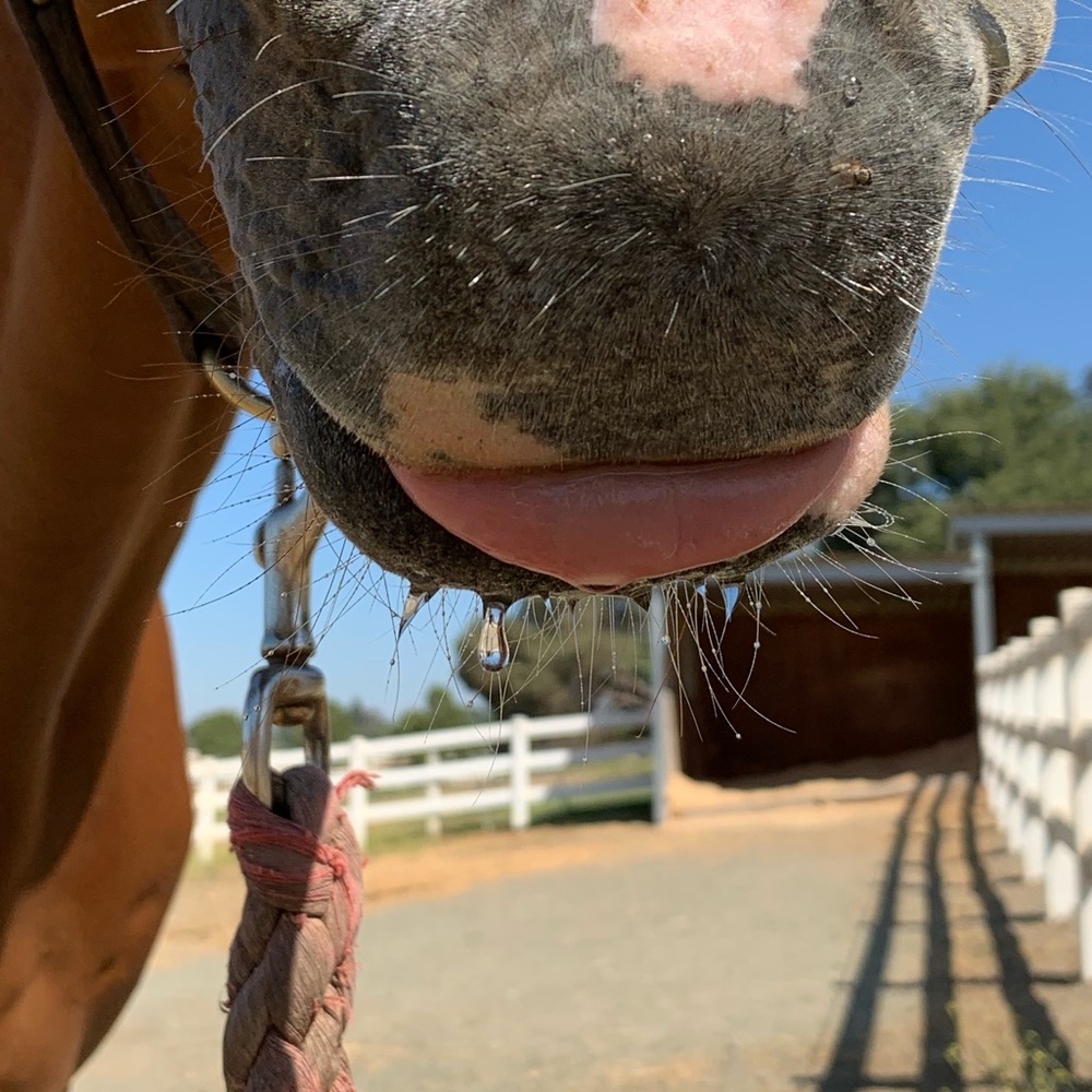 Meet your Posher, Faith